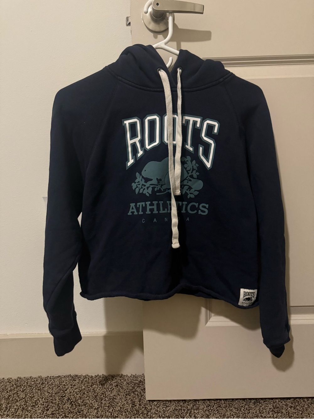 Roots Athletics Cropped Hoodie